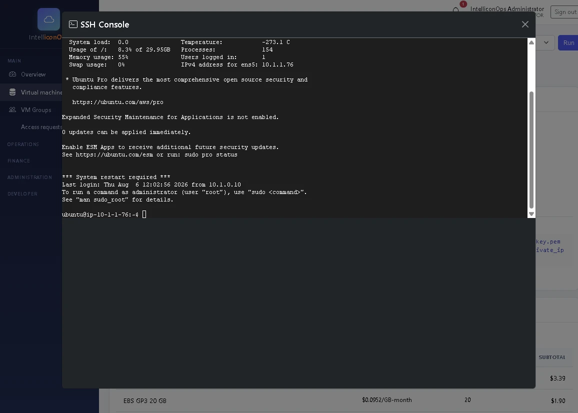 IntelliconOps AWS AWS — interactive terminal session screenshot